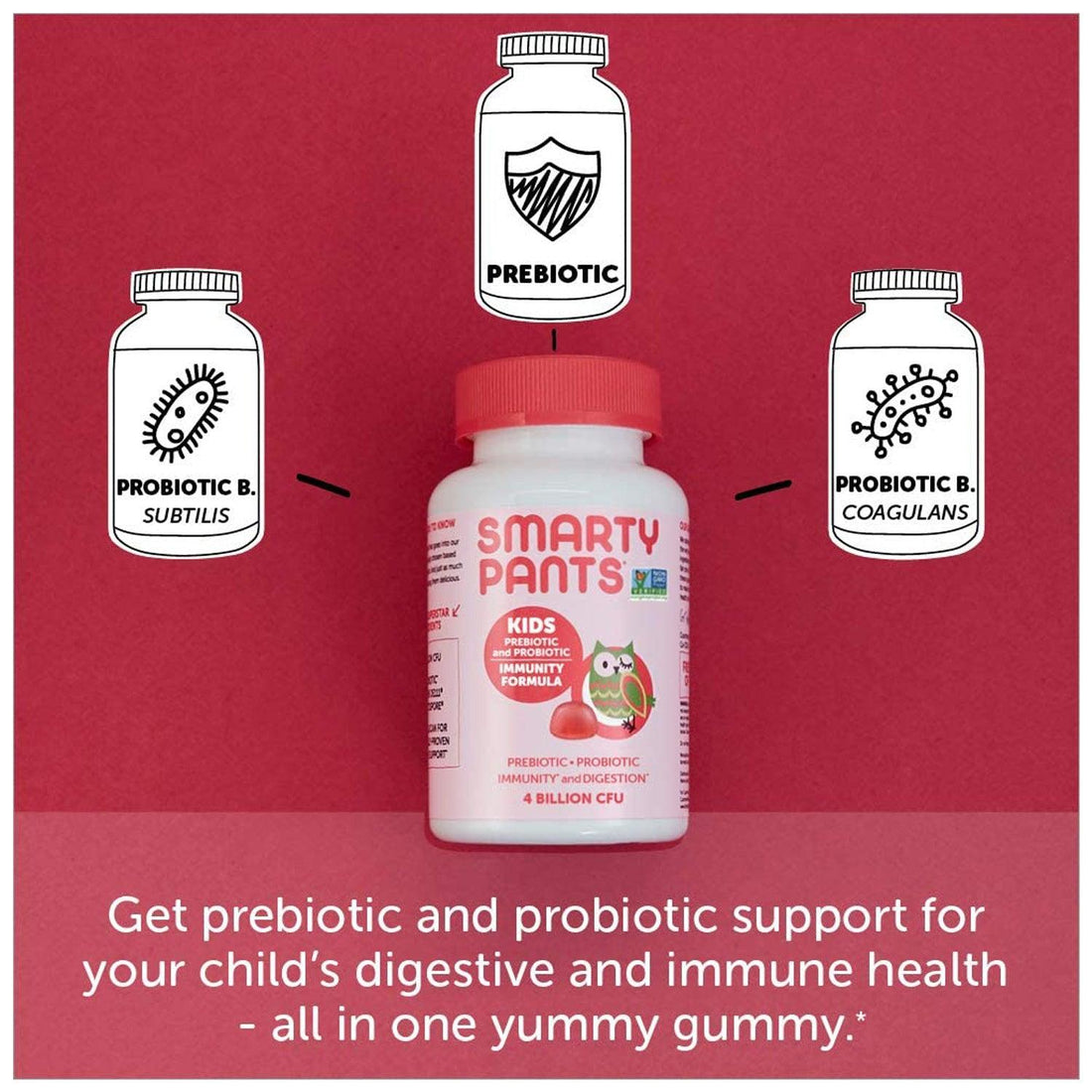 SmartyPants, Kids Prebiotic and Probiotic, Immunity Formula - Herbal Wings