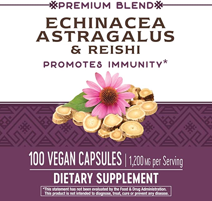 Nature's Way, Echinacea Astragalus & Reishi, 400 mg, 100 Vegan Capsules